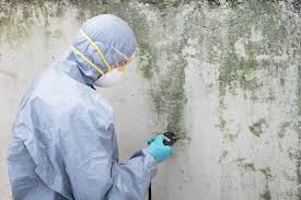 Trusted Waterville, ME Mold Removal Experts